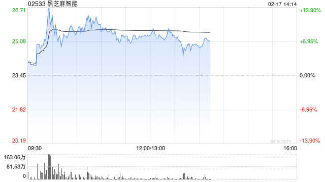 黑芝麻智能盘中涨近14% 公司与比亚迪是长期战略合作关系