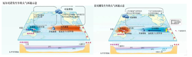 【专题】拉尼娜气象对我国玉米种植的影响